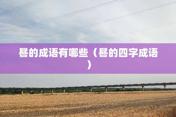 晷的成语有哪些（晷的四字成语）