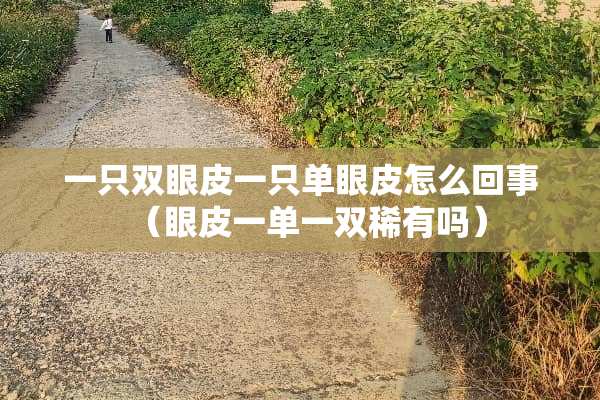 一只双眼皮一只单眼皮怎么回事（眼皮一单一双稀有吗）