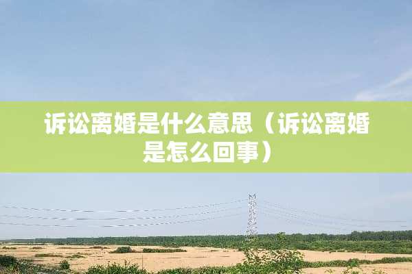 诉讼**是什么意思（诉讼**是怎么回事）