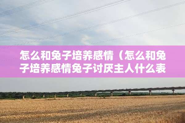 怎么和兔子培养感情（怎么和兔子培养感情兔子讨厌主人什么表现?）