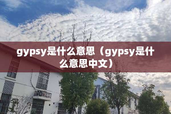 gypsy是什么意思（gypsy是什么意思中文）