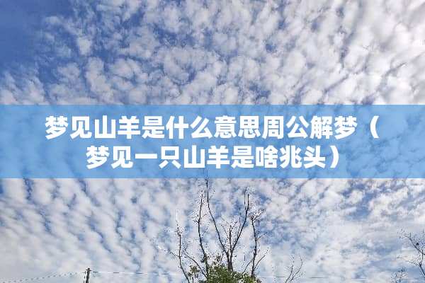 梦见山羊是什么意思周公解梦（梦见一只山羊是啥兆头）