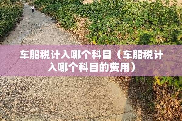 车船税计入哪个科目（车船税计入哪个科目的费用）