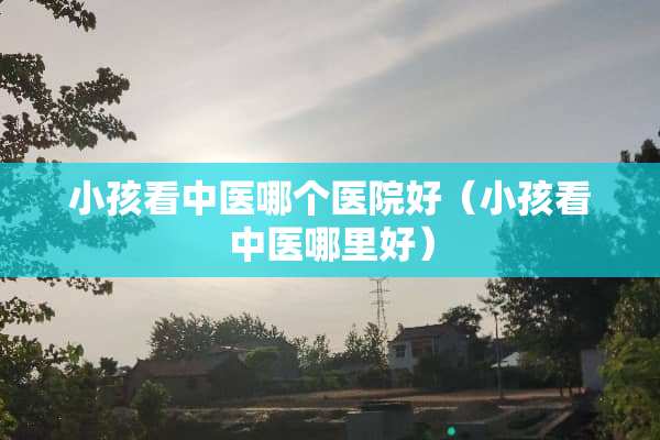 小孩看中医哪个医院好（小孩看中医哪里好）