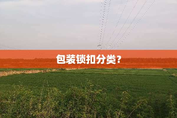 包装锁扣分类？