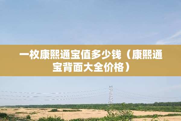 一枚康熙通宝值多少钱（康熙通宝背面大全价格）