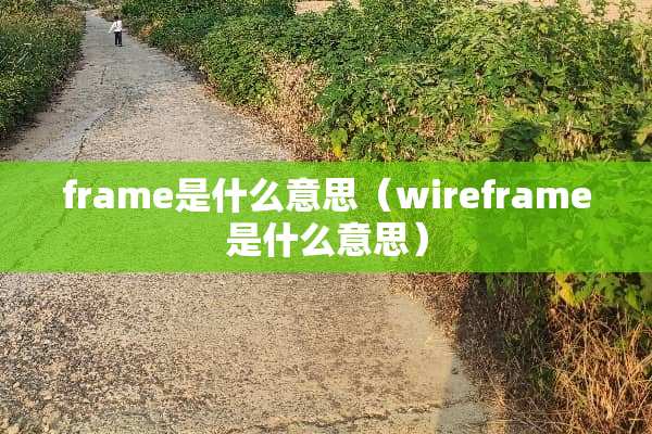 frame是什么意思（wireframe是什么意思）