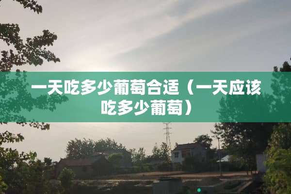一天吃多少葡萄合适（一天应该吃多少葡萄）