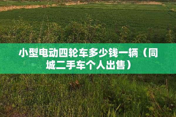 小型电动四轮车多少钱一辆（同城二手车个人出售）