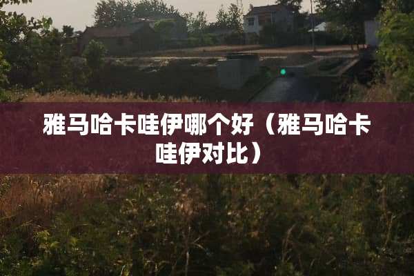 ***卡哇伊哪个好（***卡哇伊对比）