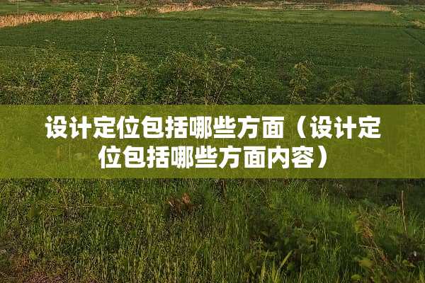 设计定位包括哪些方面（设计定位包括哪些方面内容）