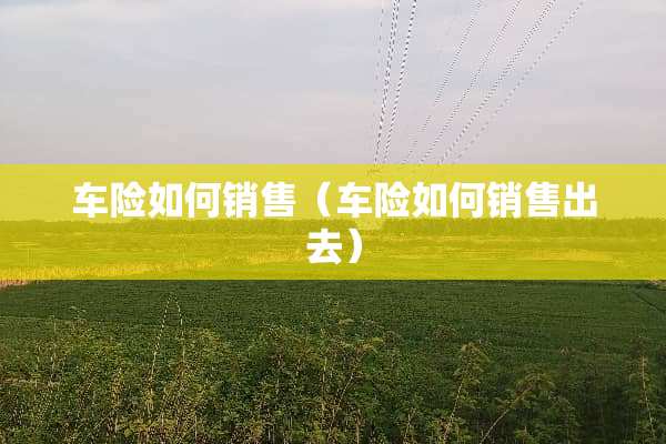车险如何销售（车险如何销售出去）