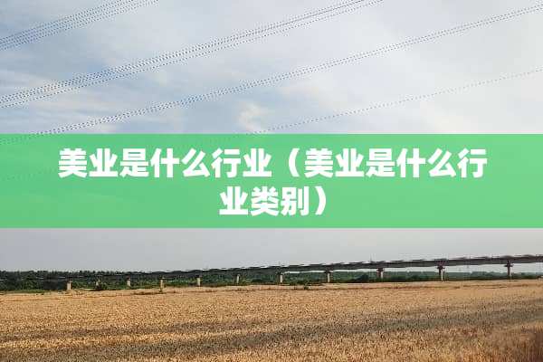 美业是什么行业（美业是什么行业类别）