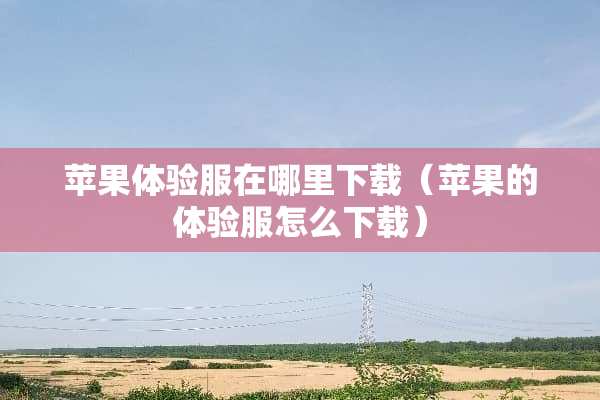 苹果体验服在哪里下载（苹果的体验服怎么下载）