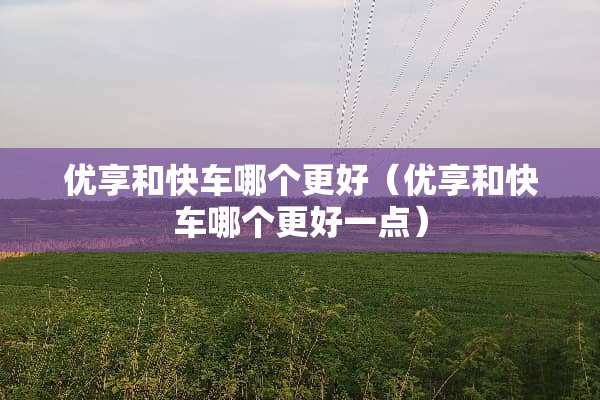 优享和快车哪个更好（优享和快车哪个更好一点）