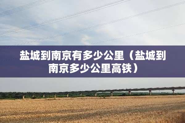 盐城到南京有多少公里（盐城到南京多少公里高铁）