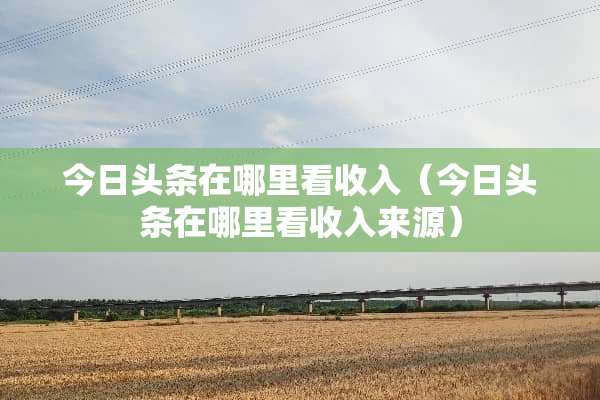 今日头条在哪里看收入（今日头条在哪里看收入来源）