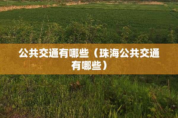 公共交通有哪些（珠海公共交通有哪些）