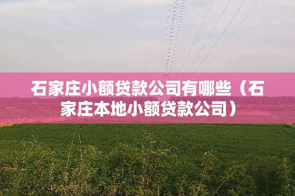 石家庄小额贷款公司有哪些（石家庄本地小额贷款公司）