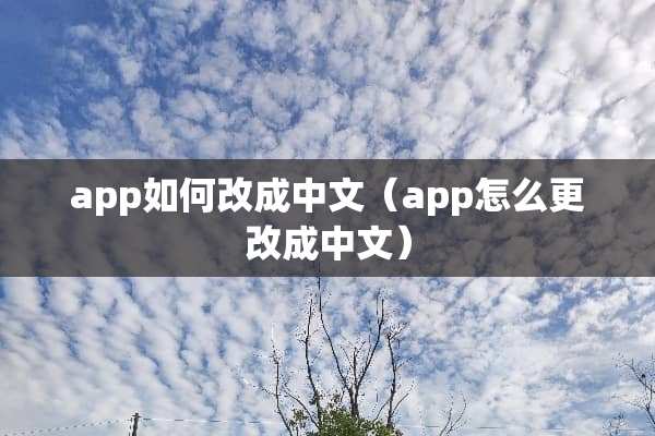 app如何改成中文（app怎么更改成中文）