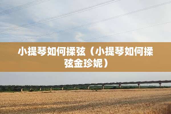 小提琴如何揉弦（小提琴如何揉弦金珍妮）