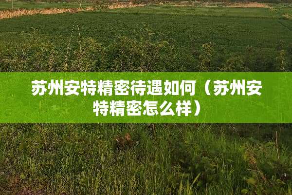 苏州安特精密待遇如何（苏州安特精密怎么样）