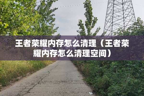 王者荣耀内存怎么清理（王者荣耀内存怎么清理空间）