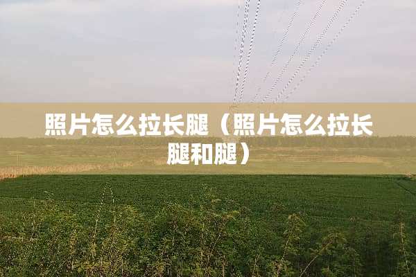 照片怎么拉长腿（照片怎么拉长腿和腿）