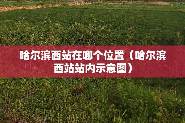 哈尔滨西站在哪个位置（哈尔滨西站站内示意图）