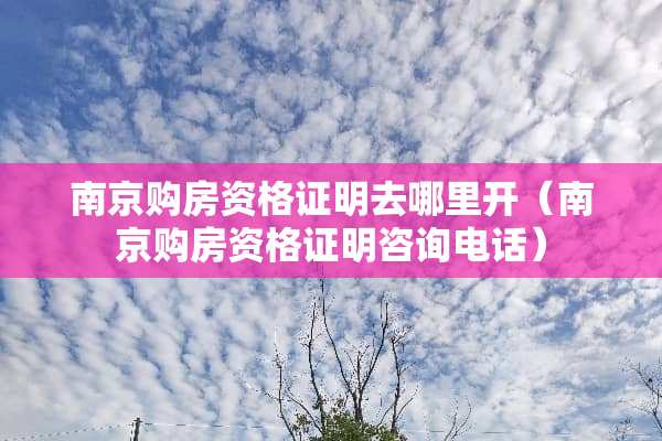 南京购房资格证明去哪里开（南京购房资格证明咨询电话）