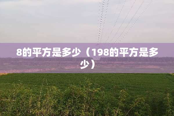8的平方是多少（198的平方是多少）