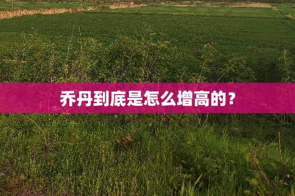 乔丹到底是怎么增高的？