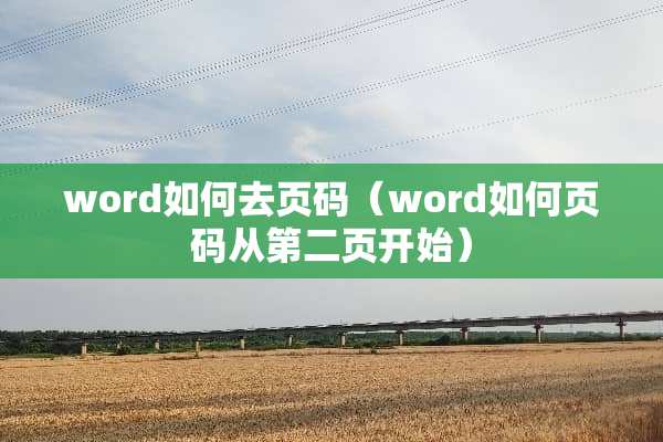 word如何去页码（word如何页码从第二页开始）