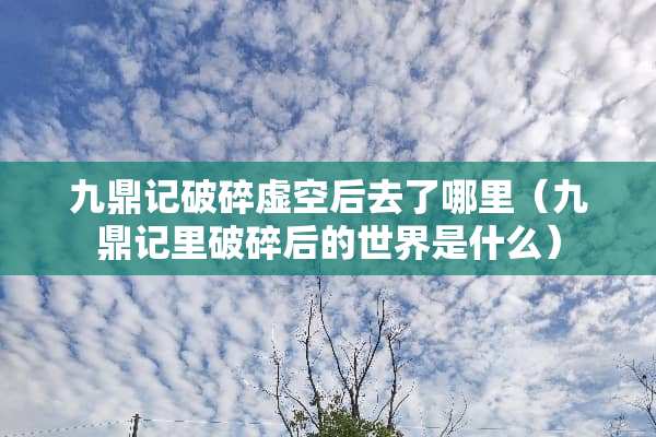 九鼎记破碎虚空后去了哪里（九鼎记里破碎后的世界是什么）