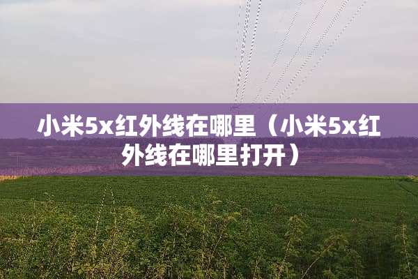小米5x红外线在哪里（小米5x红外线在哪里打开）