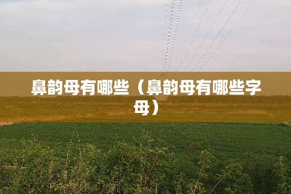 鼻韵母有哪些（鼻韵母有哪些字母）
