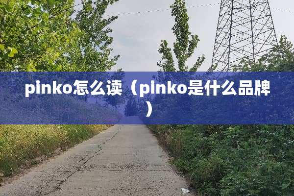 pinko怎么读（pinko是什么品牌）