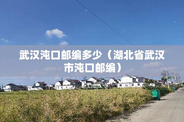 武汉沌口邮编多少（湖北省武汉市沌口邮编）