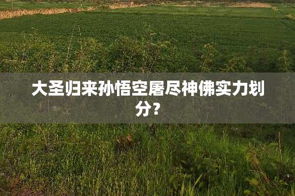 大圣归来孙悟空屠尽**实力划分？