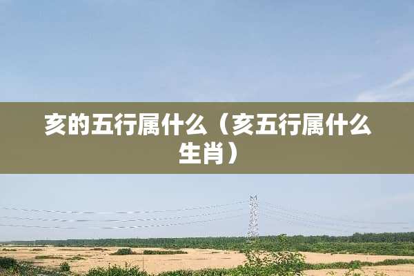 亥的五行属什么（亥五行属什么生肖）