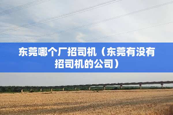 东莞哪个厂招司机（东莞有没有招司机的公司）