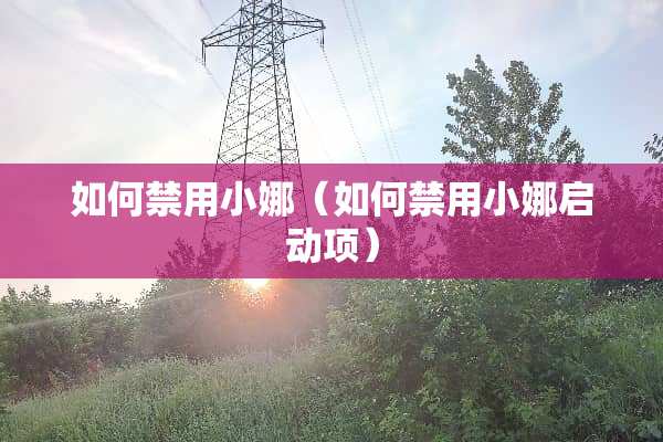 如何禁用小娜（如何禁用小娜启动项）