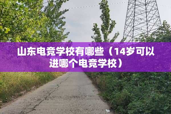山东电竞学校有哪些（14岁可以进哪个电竞学校）