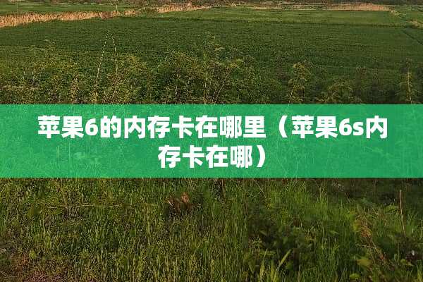 苹果6的内存卡在哪里（苹果6s内存卡在哪）