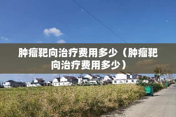 肿瘤靶向治疗费用多少（肿瘤靶向治疗费用多少）