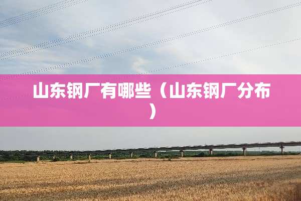 山东钢厂有哪些（山东钢厂分布）