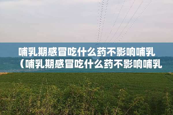 哺*期感冒吃什么药不影响哺*（哺*期感冒吃什么药不影响哺*期）