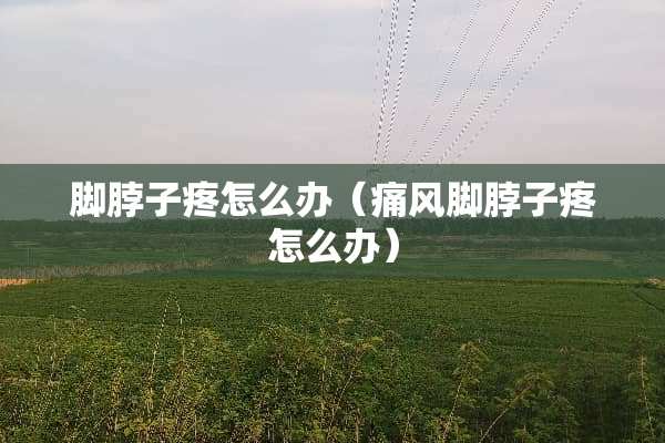 脚脖子疼怎么办（痛风脚脖子疼怎么办）