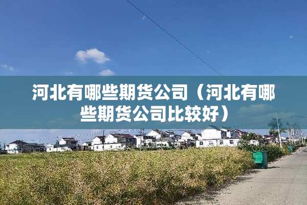 河北有哪些期货公司（河北有哪些期货公司比较好）