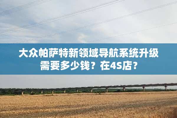 大众帕萨特新领域导航系统升级需要多少钱？在4S店？
